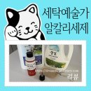 세탁예술가 이미지