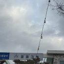 [경기 남양주] 애견동반 셀프 바베큐장 야외 캠핑 식당 코코그릴