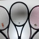 용인시립골드 테니스장 이미지