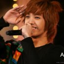 미르미르