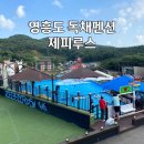 영흥도 독채 펜션 제피루스 개별바베큐 야외수영장이 있는 펜션 솔직후기