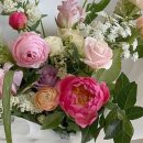 수성부부한의원 이미지