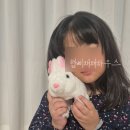 헬로채채