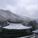 구룡사 - 1336 | 구룡사