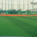 탄천종합운동장 탄천야구장 이미지