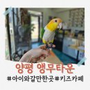 특별한동물가게 - 안양시 만안구 덕천로 54 | 양평 아이랑 가볼만한곳, 동물체험카페 앵무타운 후기