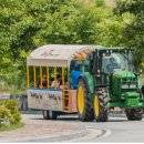 장수승마로 이미지