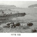 신수도 대구동 이미지