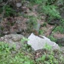 삼아아파트경로당 이미지