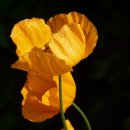 서울탑공인중개사사무소 이미지