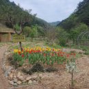 흙집정원 이미지