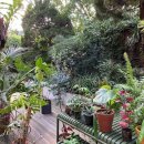 LINE PC | 서울리빙디자인페어 SLDF 2026 | 관람&amp;구입 후기 (HAY Palissade, Eco Smart Fire)