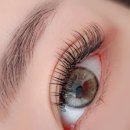 불광2-050 이미지