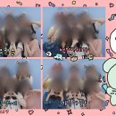 세븐게임장 이미지