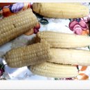 수달펜션 이미지