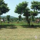 [제주도 서귀포시] 제1회 국제초콜릿쇼