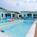 드레피인 이미지