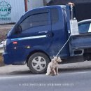 백구파출소 이미지