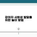 강아지 친구 이미지