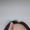 옥정동 미용실 뿌리매직 / 붙임 머리 전문점