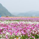구드래 이미지