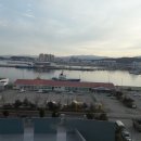 송도물회