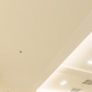 수지오치과의원 이미지