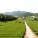 강진-2 이미지