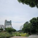 백송한신@ 이미지