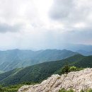 기룡산정상 이미지