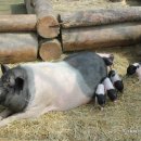 주문진 리조트 이미지