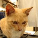 세한농장 이미지