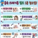 청소팡팡싹싹청소