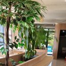 점포25공인중개사사무소 이미지