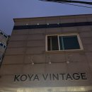 [폴로 맛집] 경기도 광주 보물창고 꼬야 빈티지 (KOYA VINTAGE) 방문후기 _ 주차정보 안내
