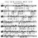담장너머로뻗은나무