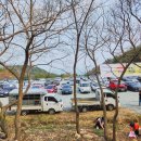 백련사 | 강진 동백꽃 백련사 다녀온 후기 26년