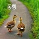 강한나님 삼동파 도착했어요 이미지