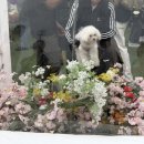 돌머리해수욕장(배모형) | 함평 가볼만한곳 제28회 함평나비대축제 힐링가득 관람후기