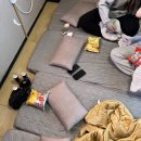 스테이365 이미지
