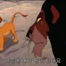 스카이유