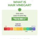 트루헤어