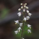 알봉 둘레길 이미지