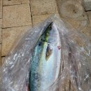 길식농장 이미지