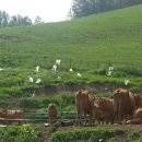 남산목장 이미지