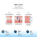 비티엘메디컬테크놀로지코리아 유한회사 이미지