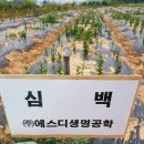 화전농장 이미지