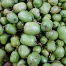 묵산농장 이미지