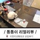 리앤리성형외과 상담후기 (첫상담 두근두근....)