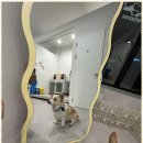 더 빛나개 이미지